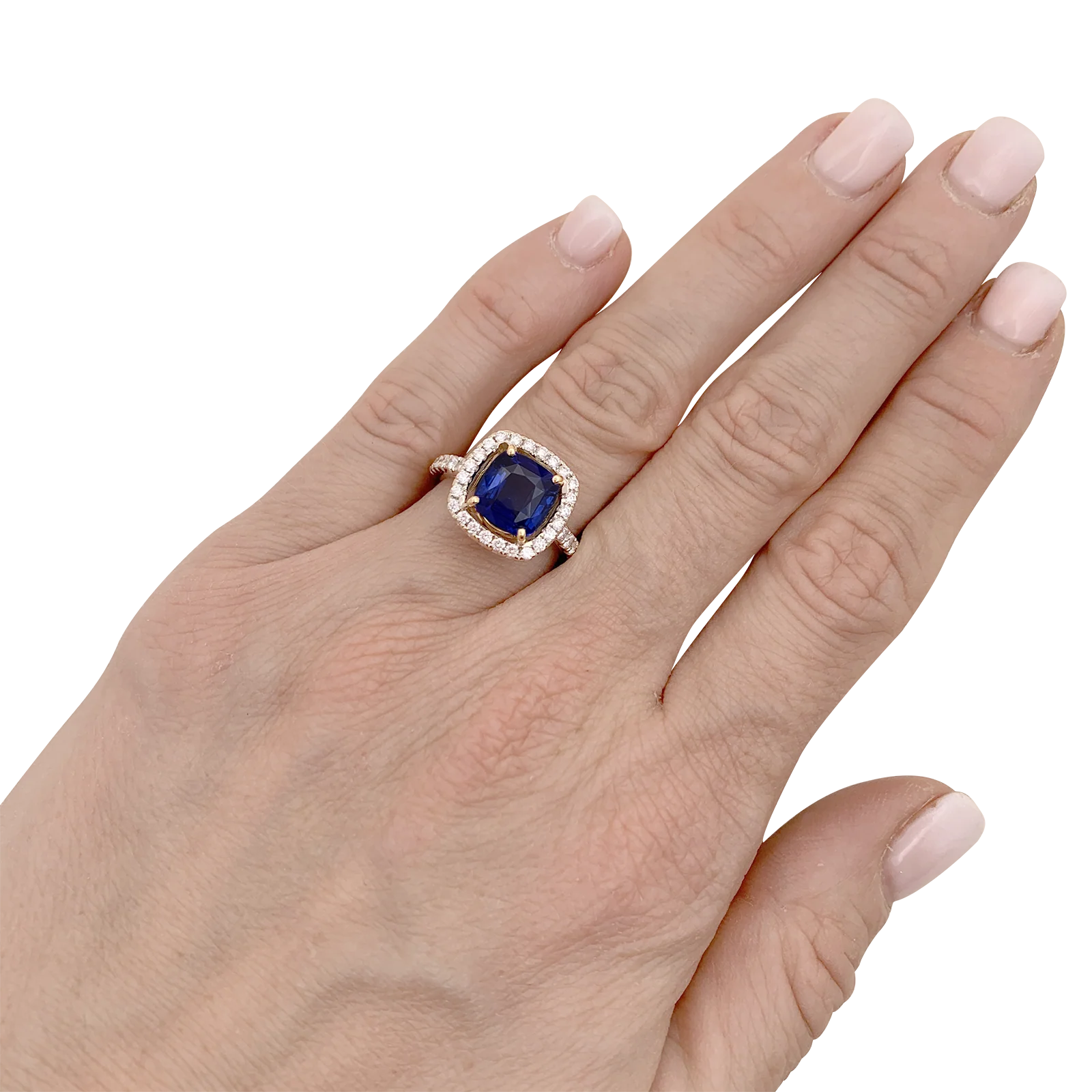 Bague saphir, diamants, deux ors. - Image 6